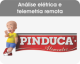 Pinduca Alimentos 